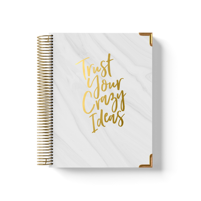 Crazy Ideas Teacher Planner by BERTEAU & Co.