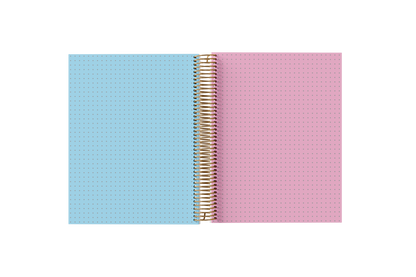 Dotted Grid Paper Holographic Notebook by BERTEAU & Co.