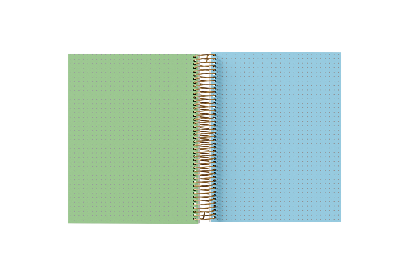 Dotted Grid Paper Holographic Notebook by BERTEAU & Co.