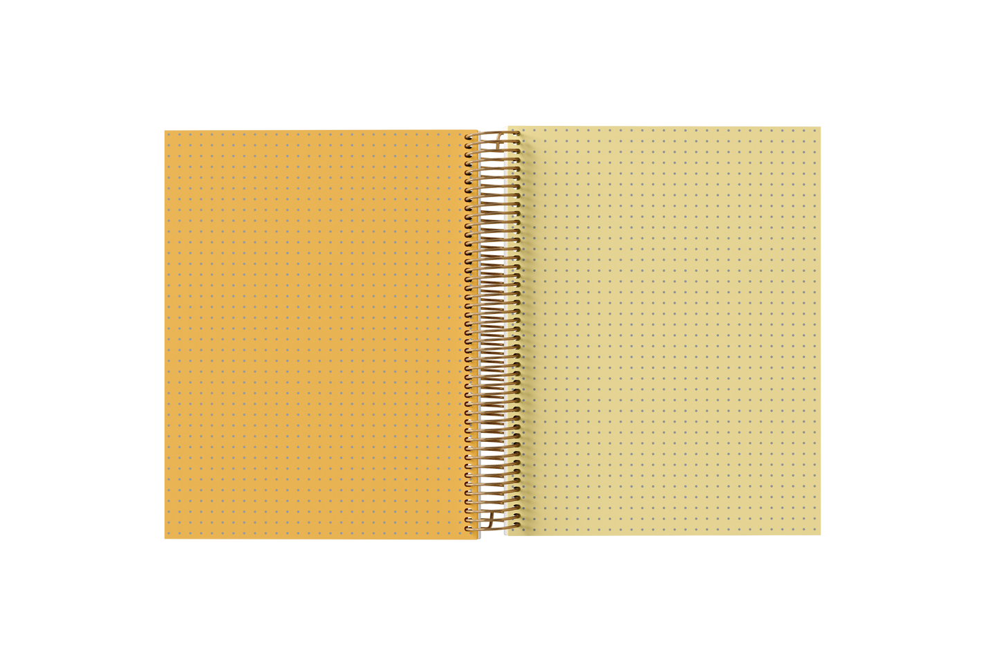 Dotted Grid Paper Holographic Notebook by BERTEAU & Co.